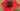 Poppies